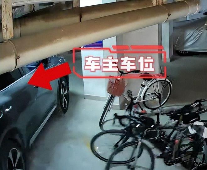 立案车损报价比电车贵女子回应太霸道AG真人国际女子推倒自行车后续：已(图12)
